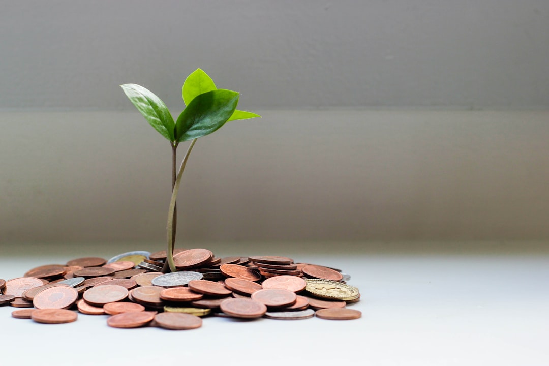 Mikroinvestering: En Dypdykk i Små Investeringers Verden